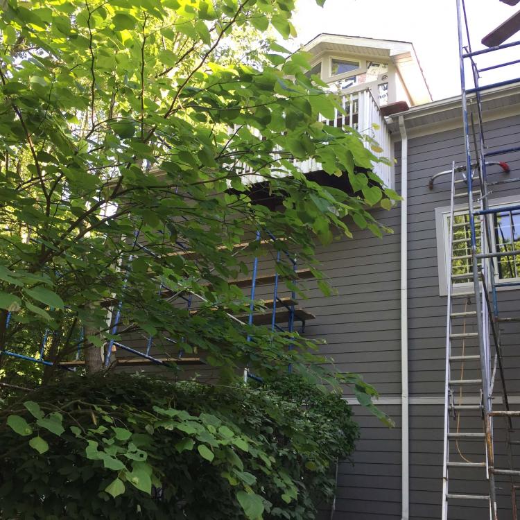 Siding painting in ongoing repair: scaffolding and ladder against the house