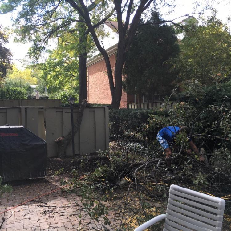 Complete renovation: worker clearing debris from the backyard.