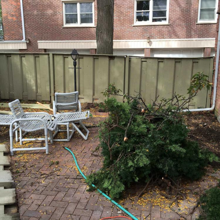 Backyard under renovation with construction materials and debris