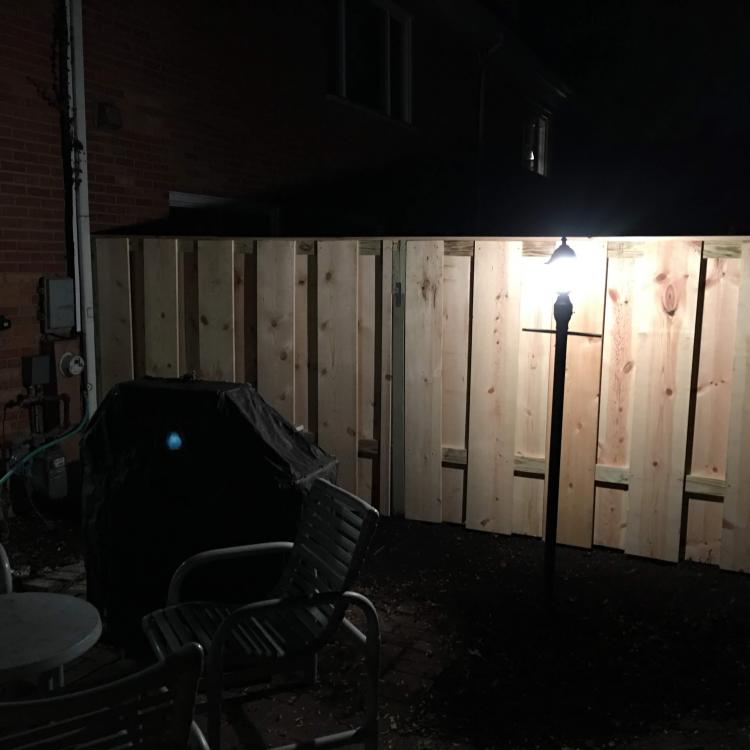 Completed backyard renovation with a new fence and outdoor lighting.