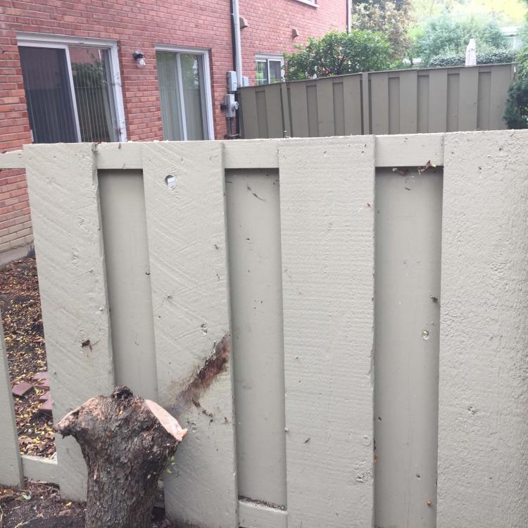 Fence repair needed: Damaged wooden fence with a broken section