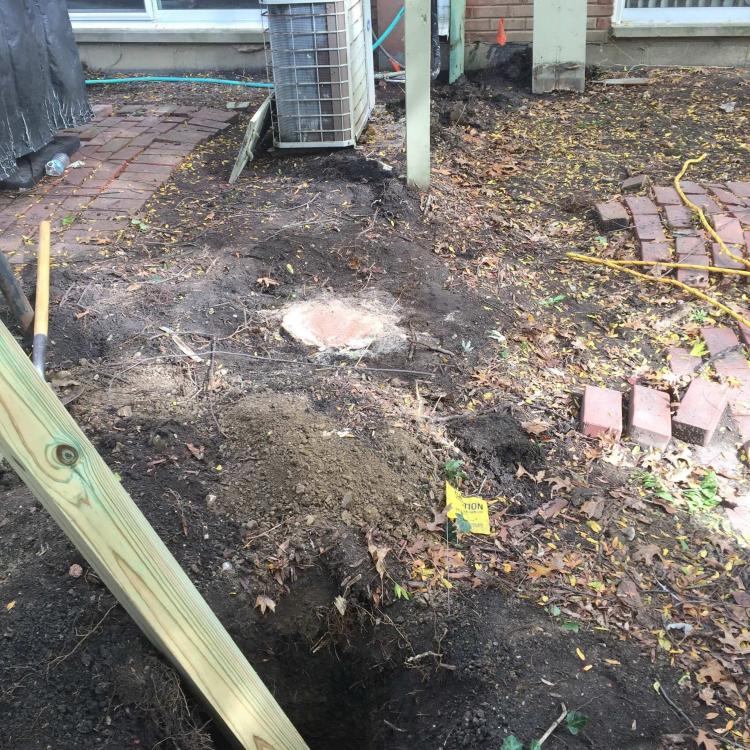 Fence repair and installation: New fence posts being installed.