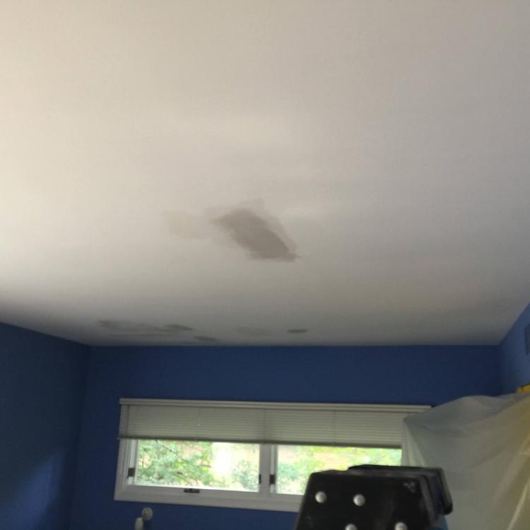 Interior painting: water damage to ceiling preparation for repair