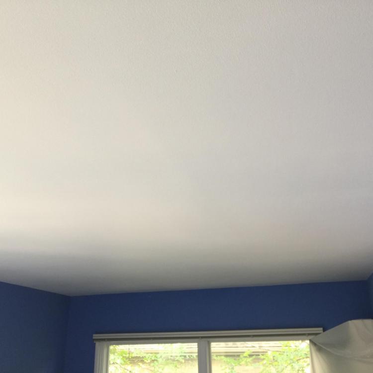 Painted ceiling with blue walls.